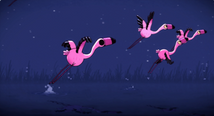 Animated pink flamingos fly over a moonlit marsh, from Animated Arias